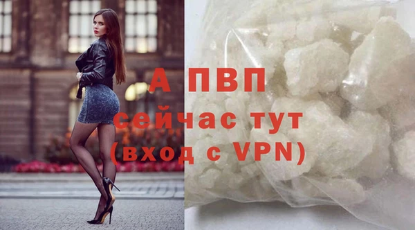 стаф Беломорск