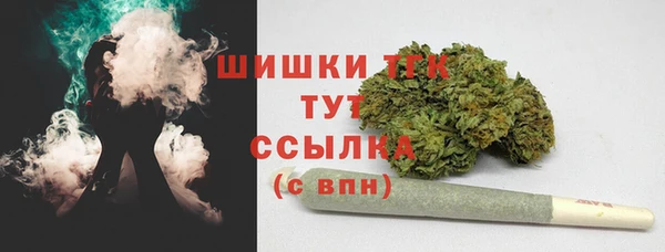 мдпв Богданович