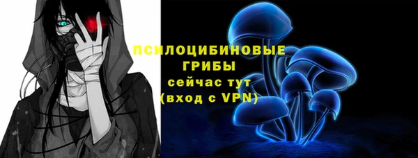крисы Бугульма