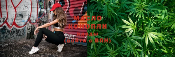 шишки Няндома