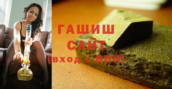 шишки Няндома