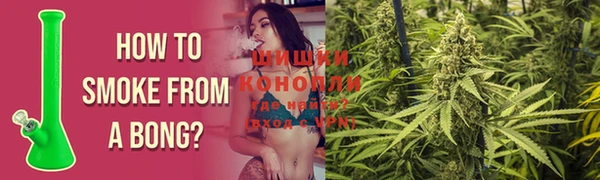 крисы Бугульма