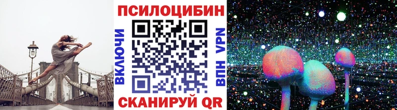 Галлюциногенные грибы Psilocybine cubensis Северск